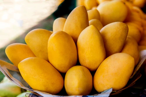 bg_img_home_block65_5a