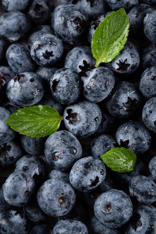 bg_img_home_block65_4h