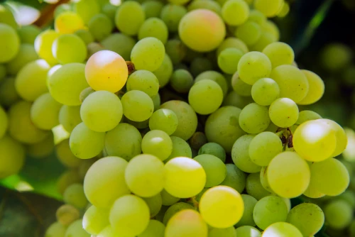 bg_img_home_block65_mo