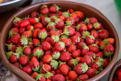 bg_img_home_block65_t4